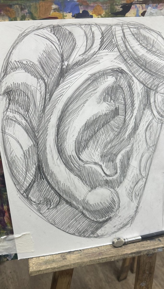 Anatomical Study