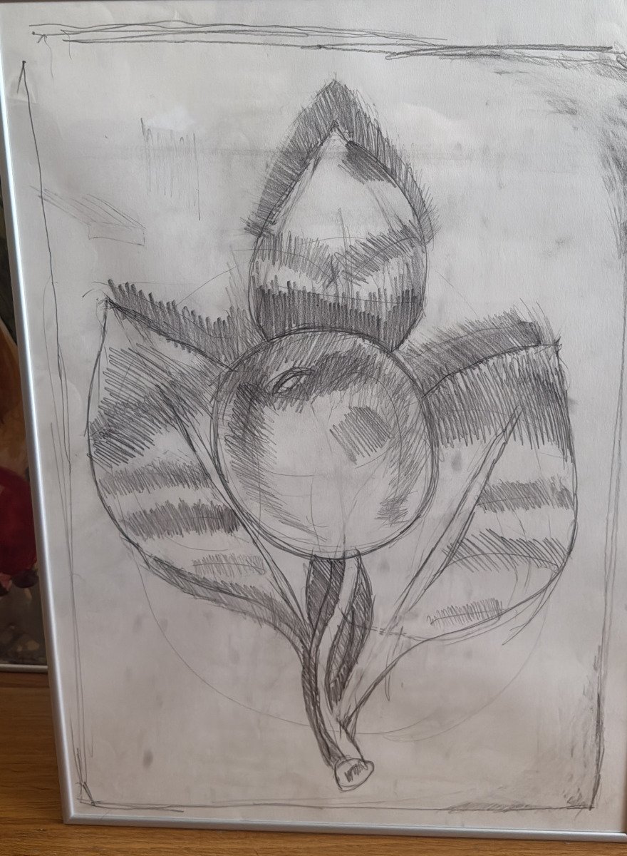 Botanical Study