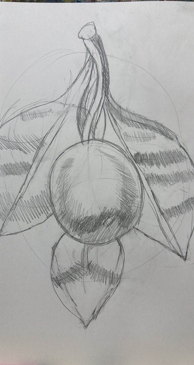 Study of a Pear