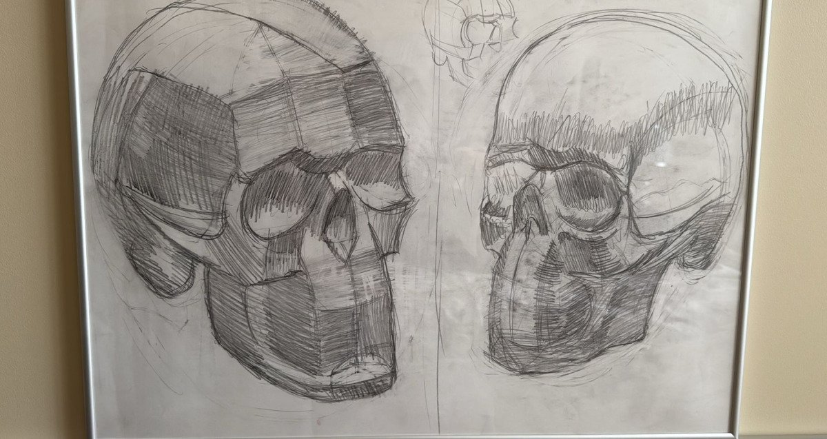 Study of Skulls